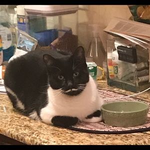 Meet your Posher, Nadine